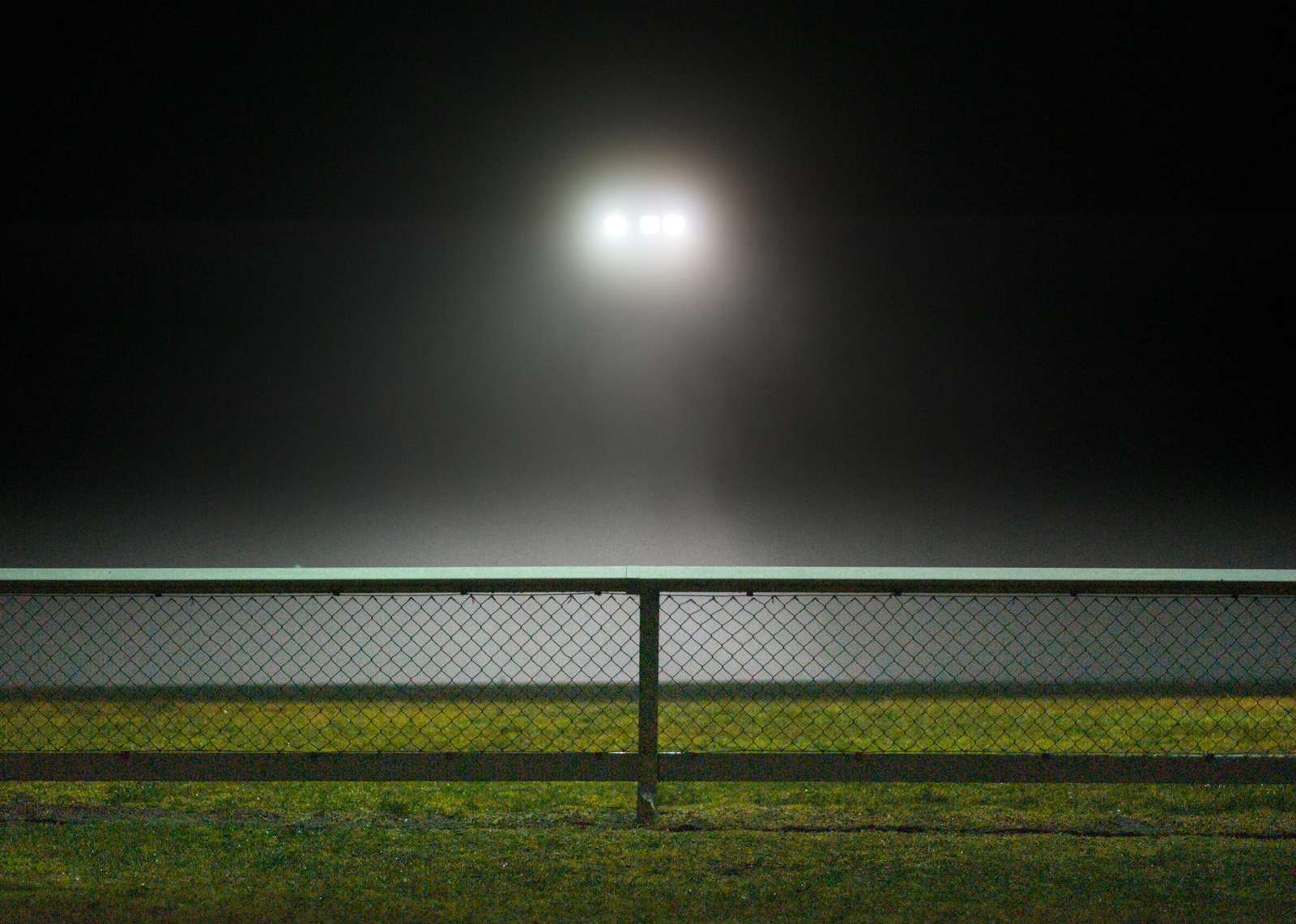 One of the first photos I took with the D700. (Tokina AT-X M100 AF. f/2.8 @ 1/640th) © Marty Walker